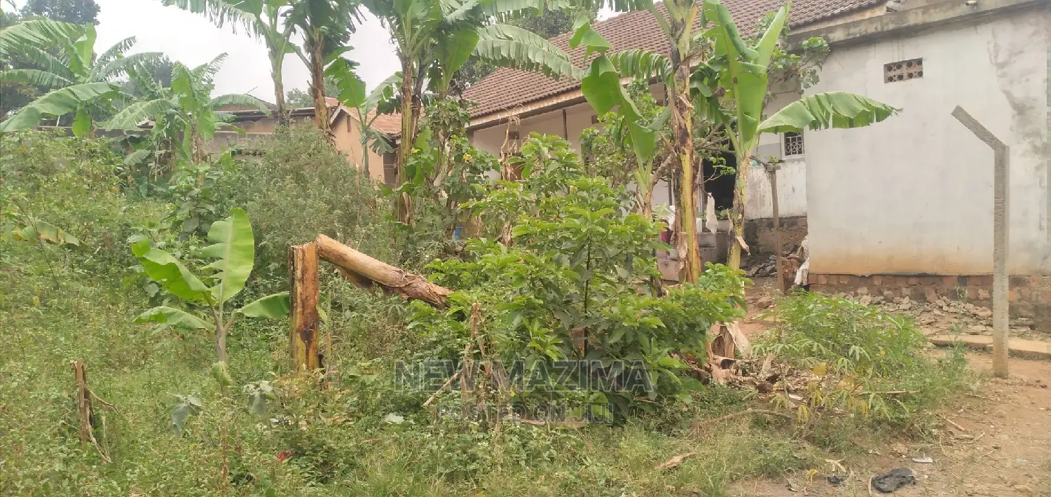 Very Prime Plot Onquicksale Near Freedom City Along Ntebe Rd