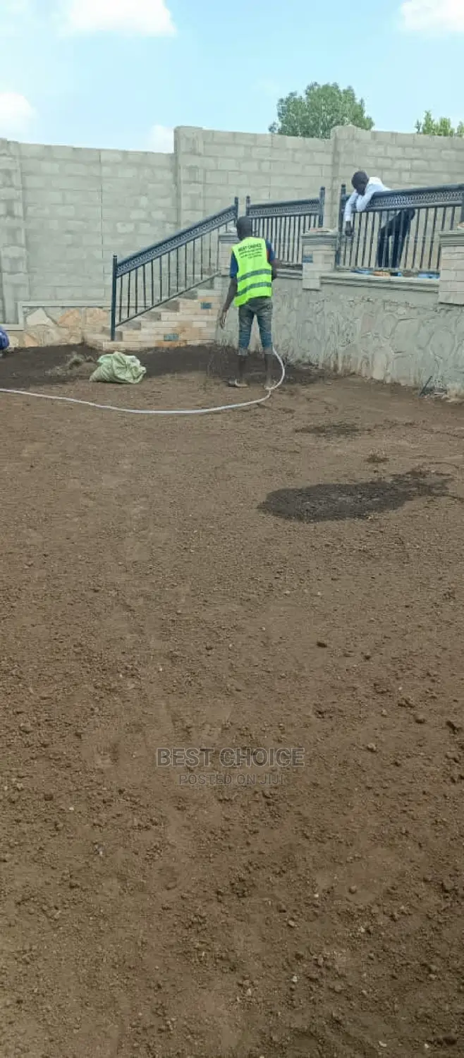 Contact Us for the Best Paver Laying and Compound Designing