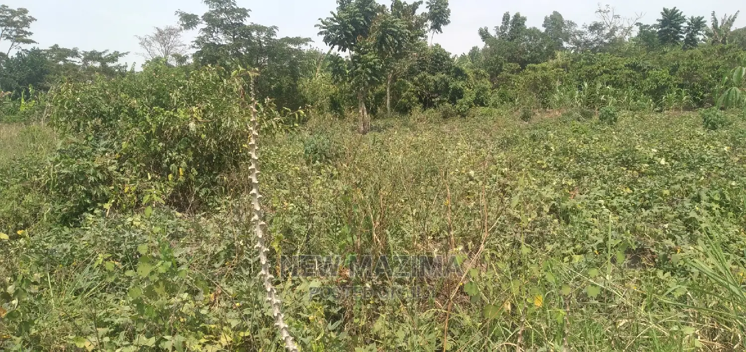 Very Hot 10 Acres Onquicksale Inheart of Nakaseke With Title
