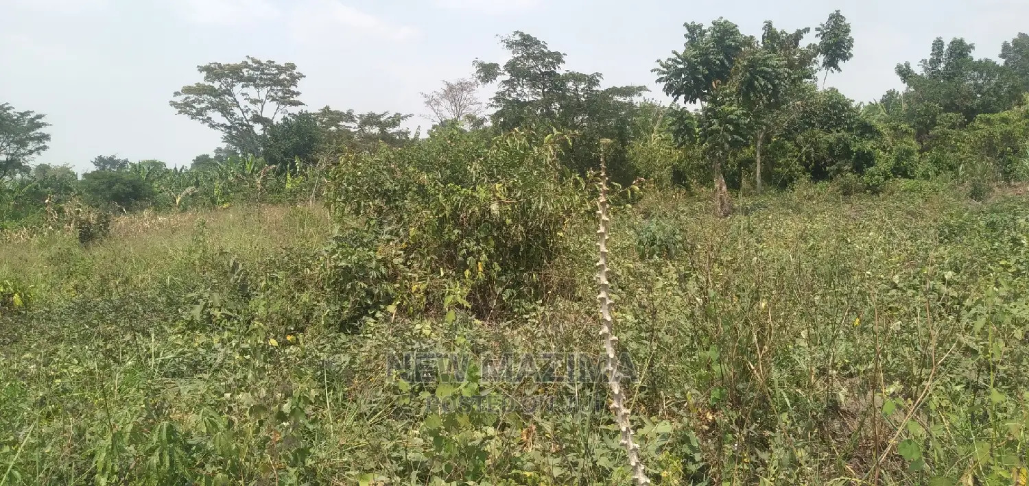 Very Hot 10 Acres Onquicksale Inheart of Nakaseke With Title