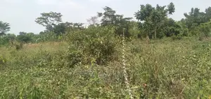 Very Hot 10 Acres Onquicksale Inheart of Nakaseke With Title