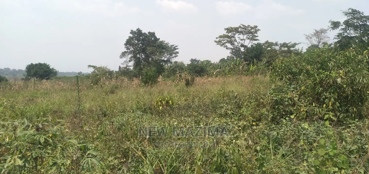 Very Hot 10 Acres Onquicksale Inheart of Nakaseke With Title