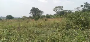 Very Hot 10 Acres Onquicksale Inheart of Nakaseke With Title