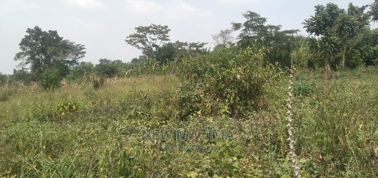 Very Hot 10 Acres Onquicksale Inheart of Nakaseke With Title