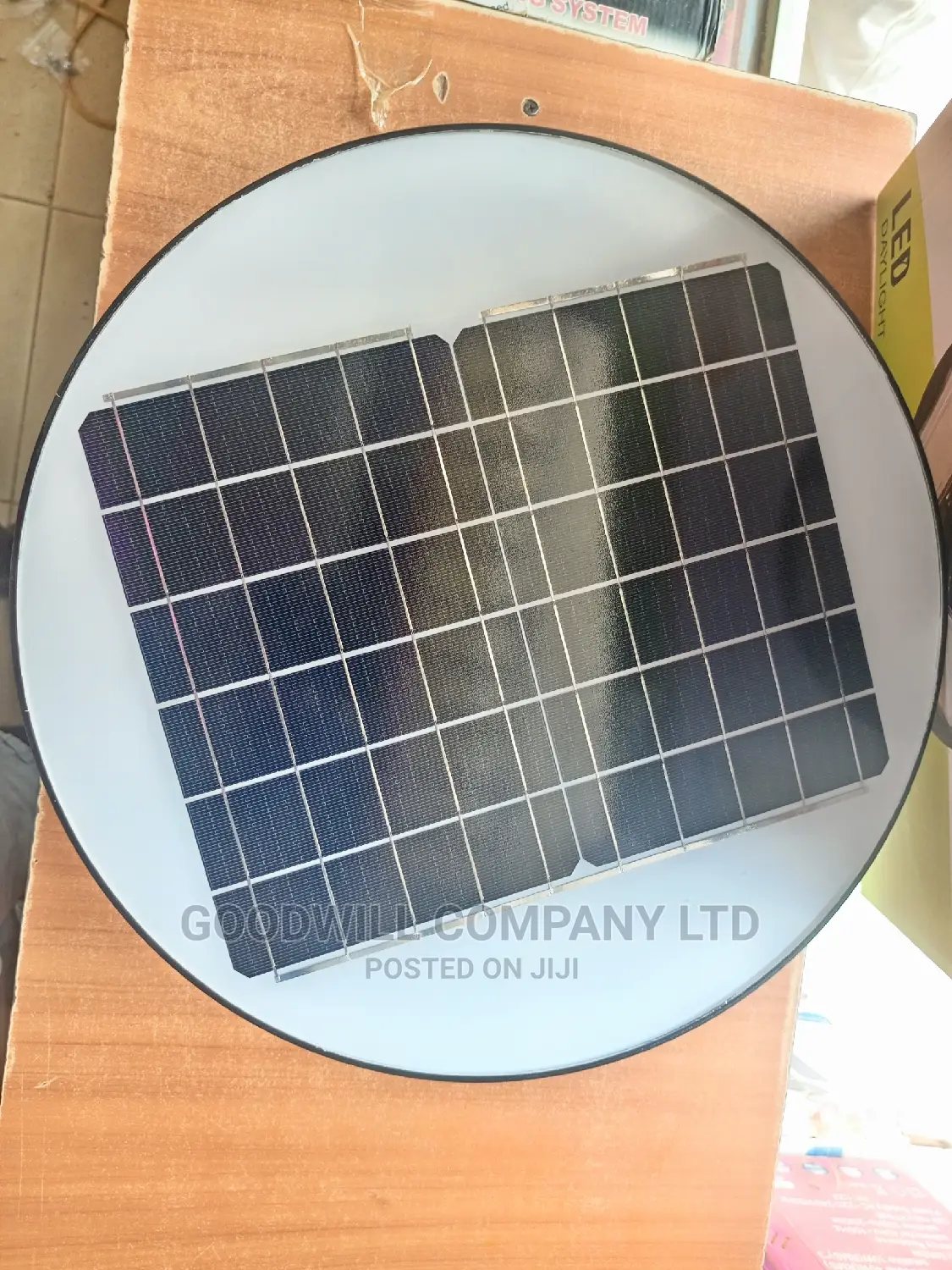 Garden Solar Lights