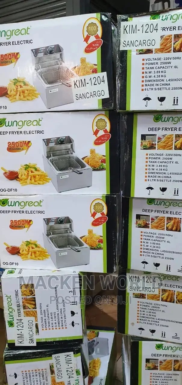 Deep Fryer Double