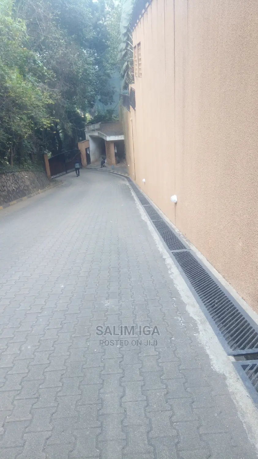 Furnished 2bdrm Block of Flats in Kololo Property, Central Division