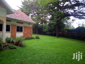 Three Bedroom House For Rent