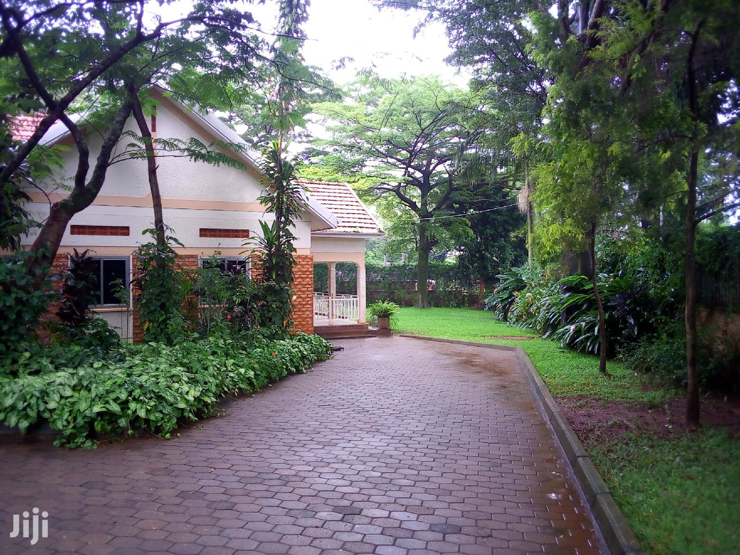 Three Bedroom House For Rent