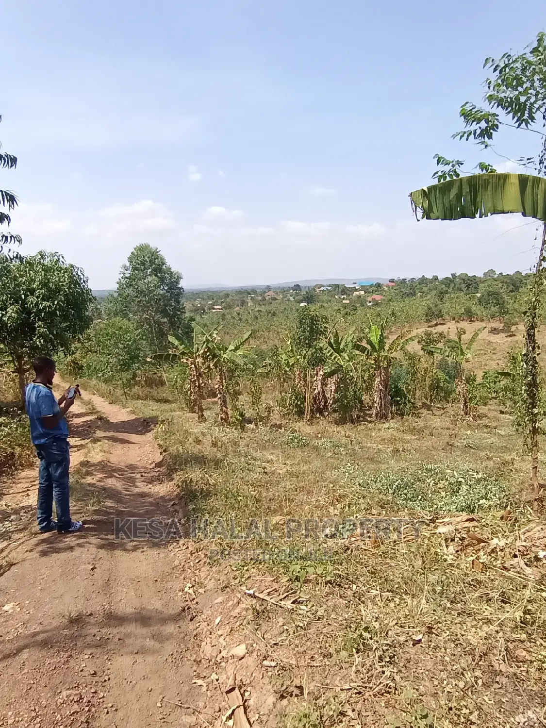 20 Plots 50X100 With Good Town View on Bombo Rd, Kalule T/N