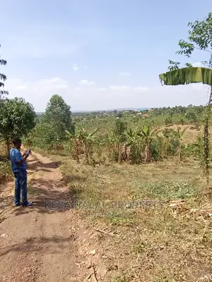 20 Plots 50X100 With Good Town View on Bombo Rd, Kalule T/N