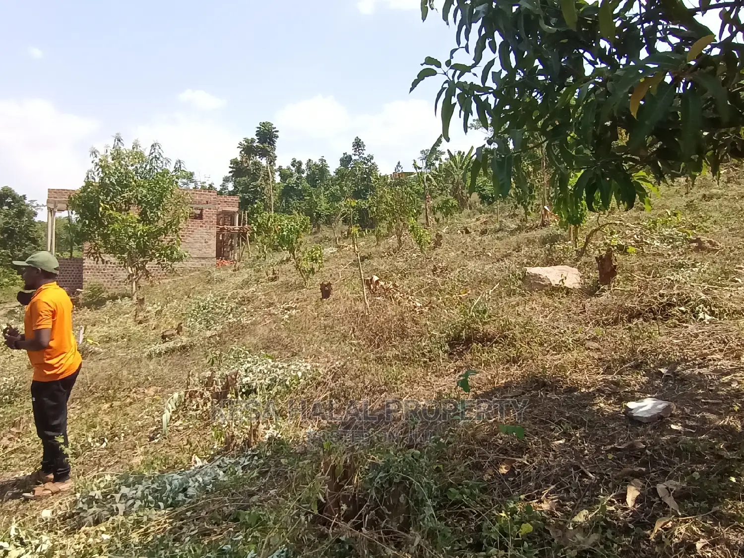 20 Plots 50X100 With Good Town View on Bombo Rd, Kalule T/N