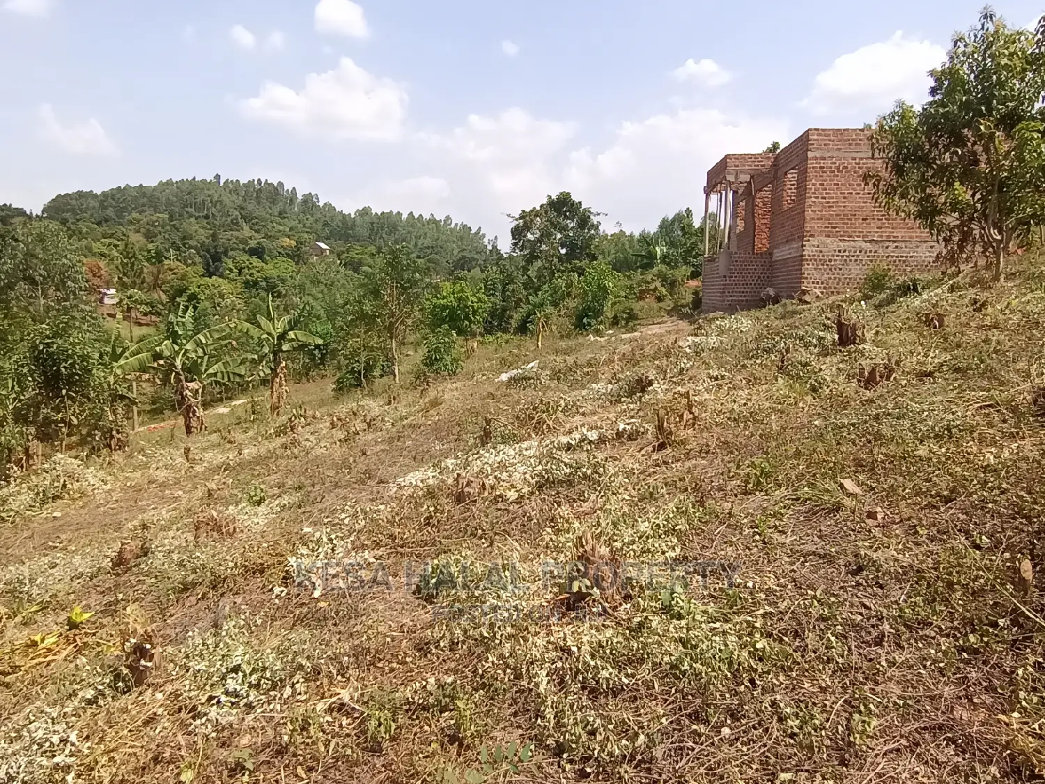 20 Plots 50X100 With Good Town View on Bombo Rd, Kalule T/N