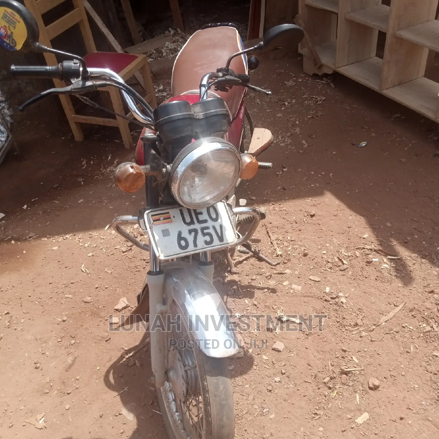 Honda Steed 2020 Green