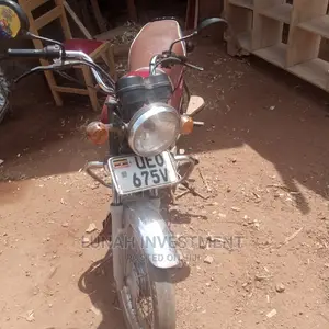 Honda Steed 2020 Green