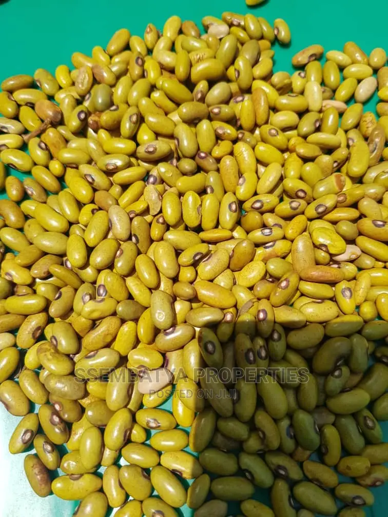 Produce Stores, Beans, Maize, Maize Flour, Sorghum, Peas Etc