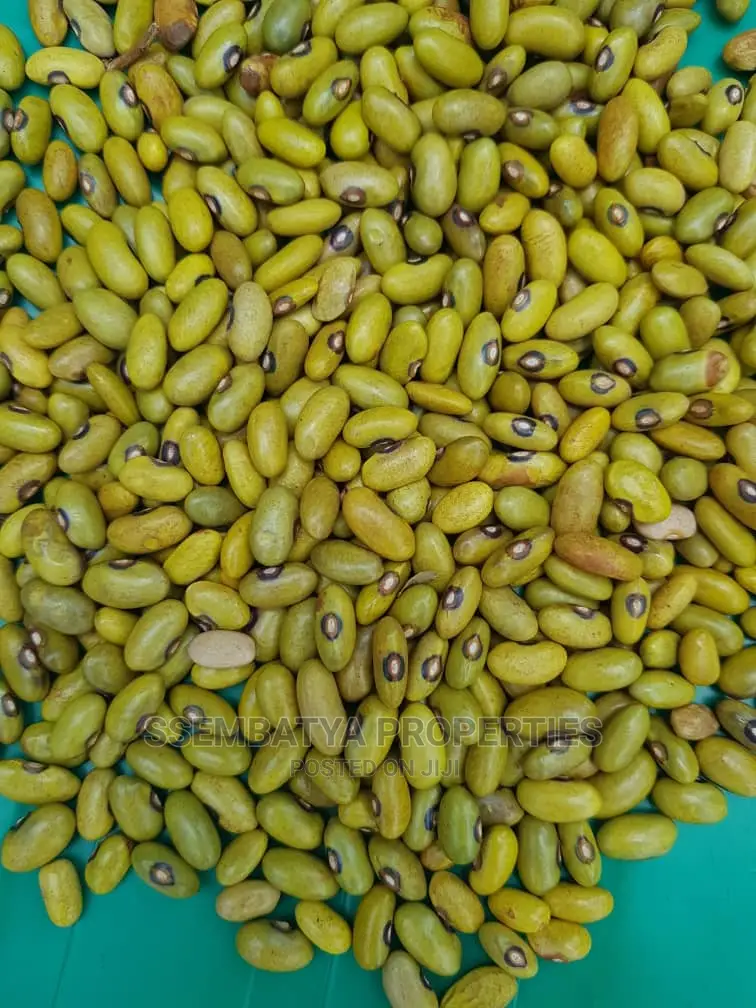 Produce Stores, Beans, Maize, Maize Flour, Sorghum, Peas Etc
