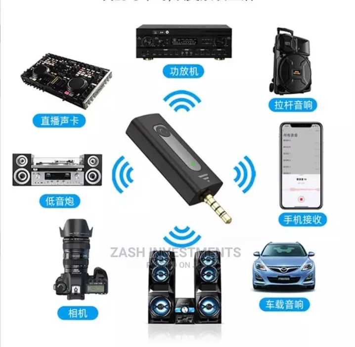 Wireless Microphone