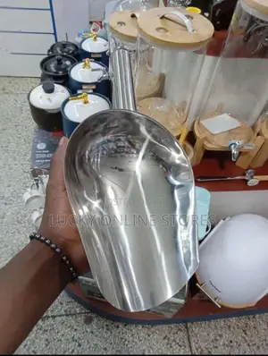 Stainless Steel Food Scoop Big