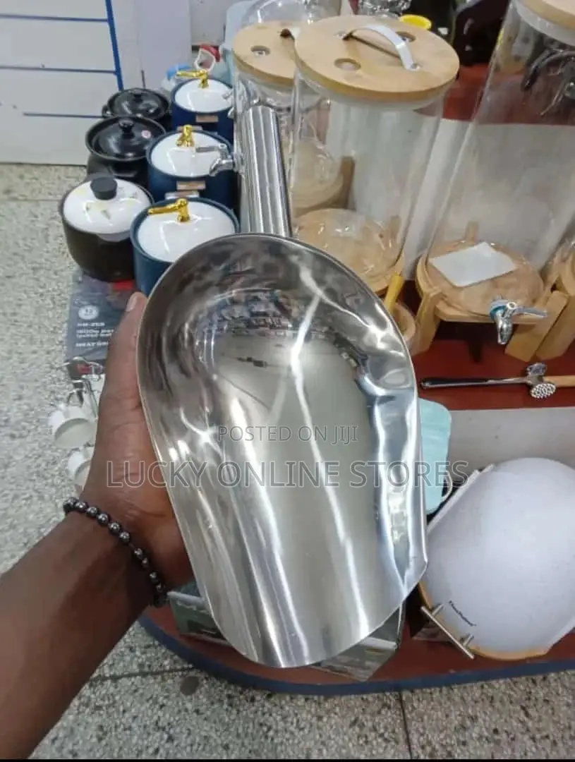 Stainless Steel Food Scoop Big