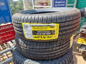 205/65r15 Dunlop