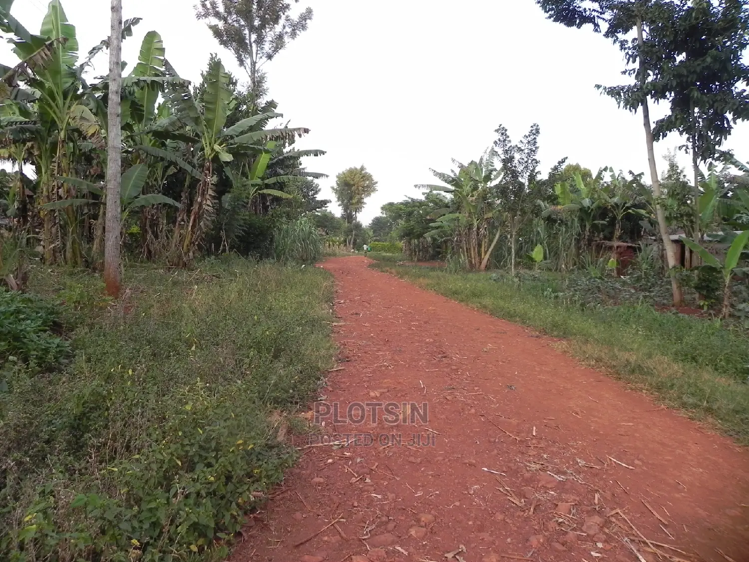 3 Acres With a Clear View of the Nile,Budondo, Jinja City. in Jinja