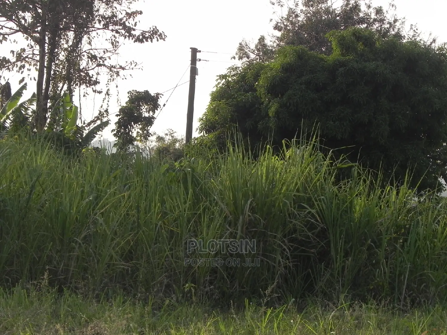 3 Acres With a Clear View of the Nile,Budondo, Jinja City. in Jinja