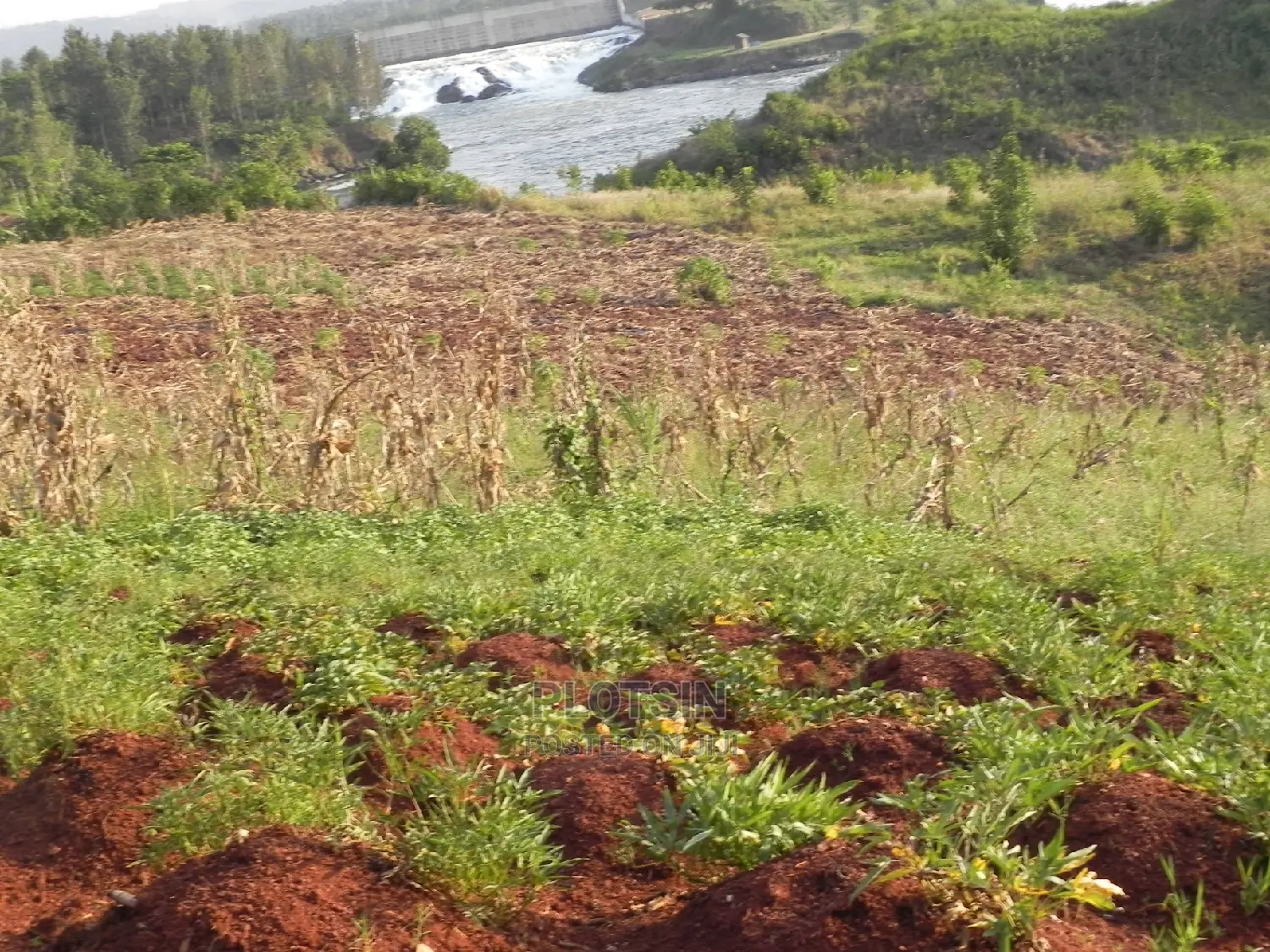 3 Acres With a Clear View of the Nile,Budondo, Jinja City. in Jinja