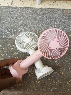 Hand/Make Up Fan
