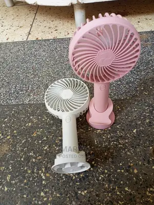 Hand/Make Up Fan