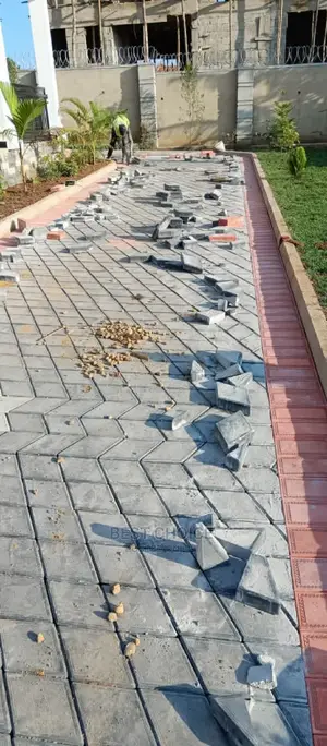 Paver Laying for the Best Compound Designs and Land Scaping.