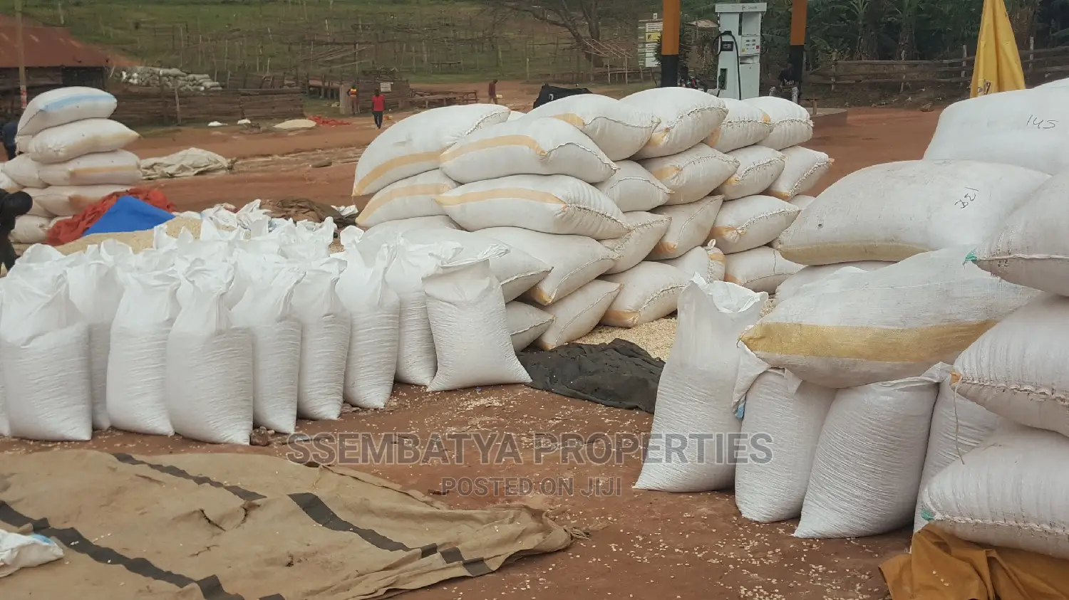 Produce Stores, Beans, Maize, Maize Flour, Sorghum, Peas Etc
