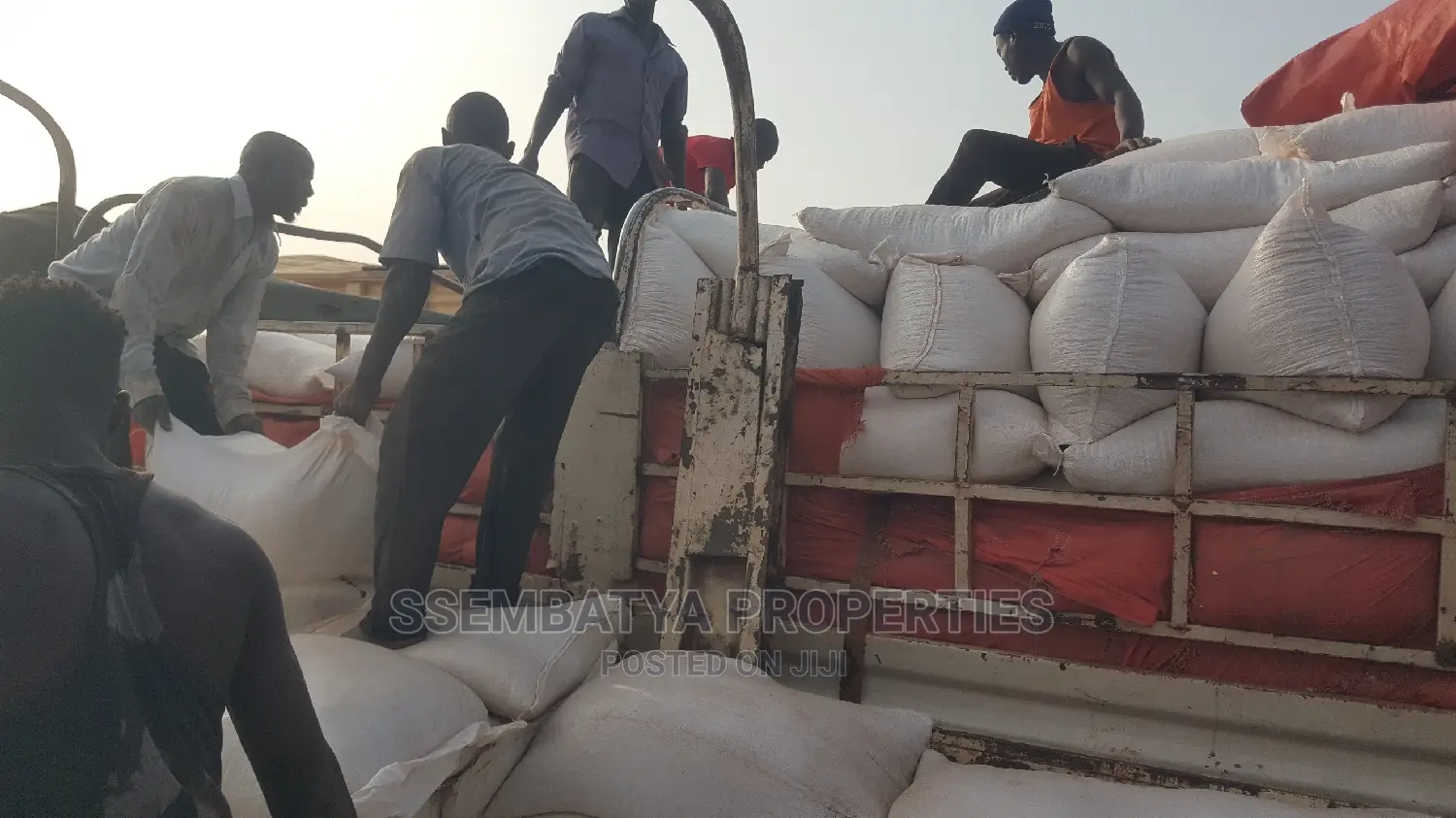 Produce Stores, Beans, Maize, Maize Flour, Sorghum, Peas Etc