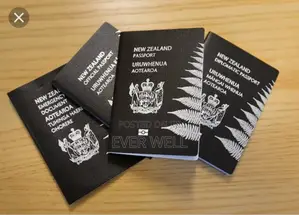 Travel to New Zealand