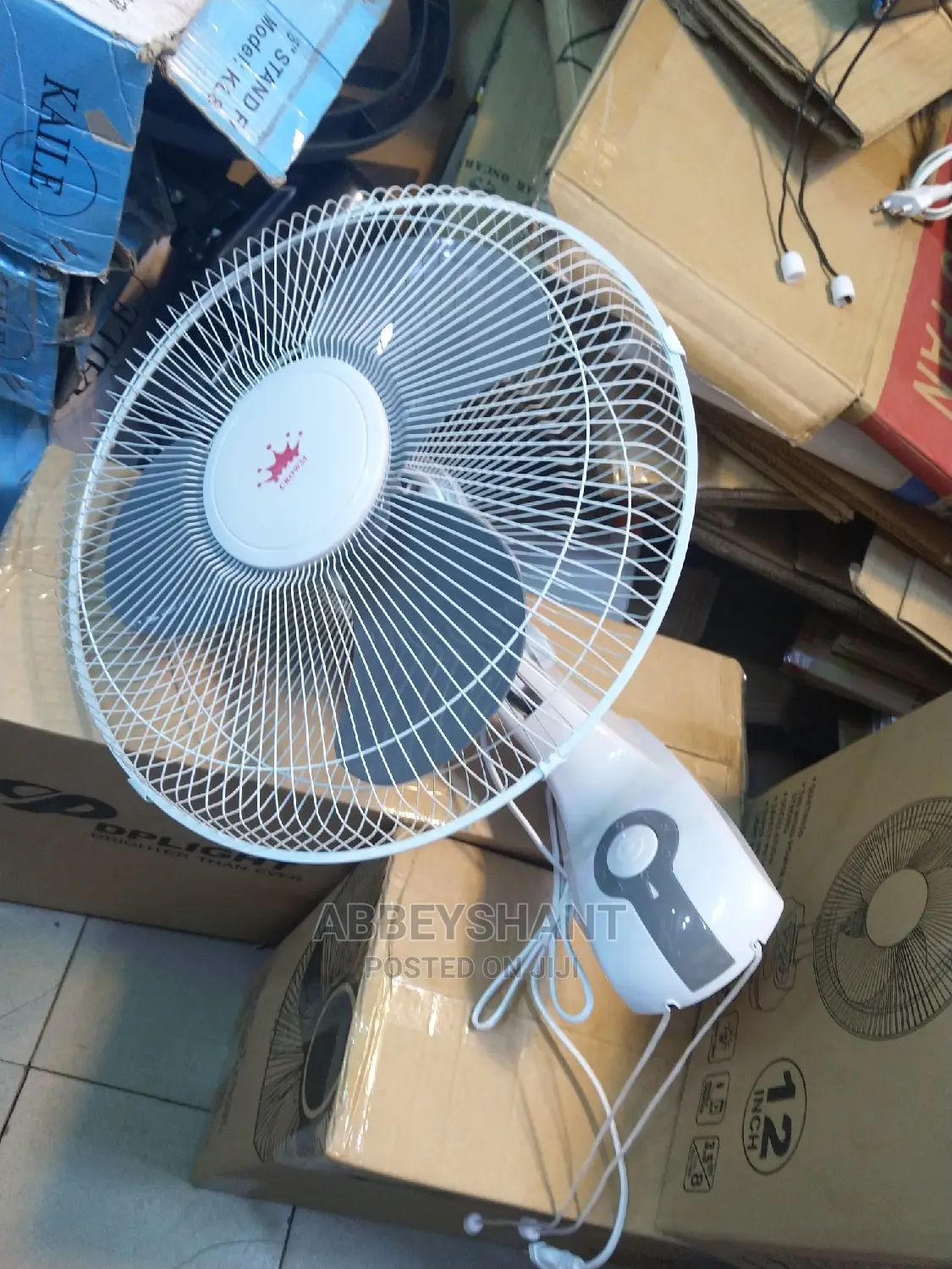Wall Fan/Crown Wall Fans/ Fan