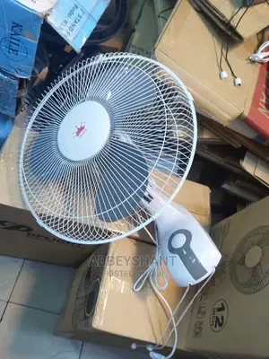 Wall Fan/Crown Wall Fans/ Fan