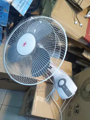 Wall Fan/Crown Wall Fans/ Fan