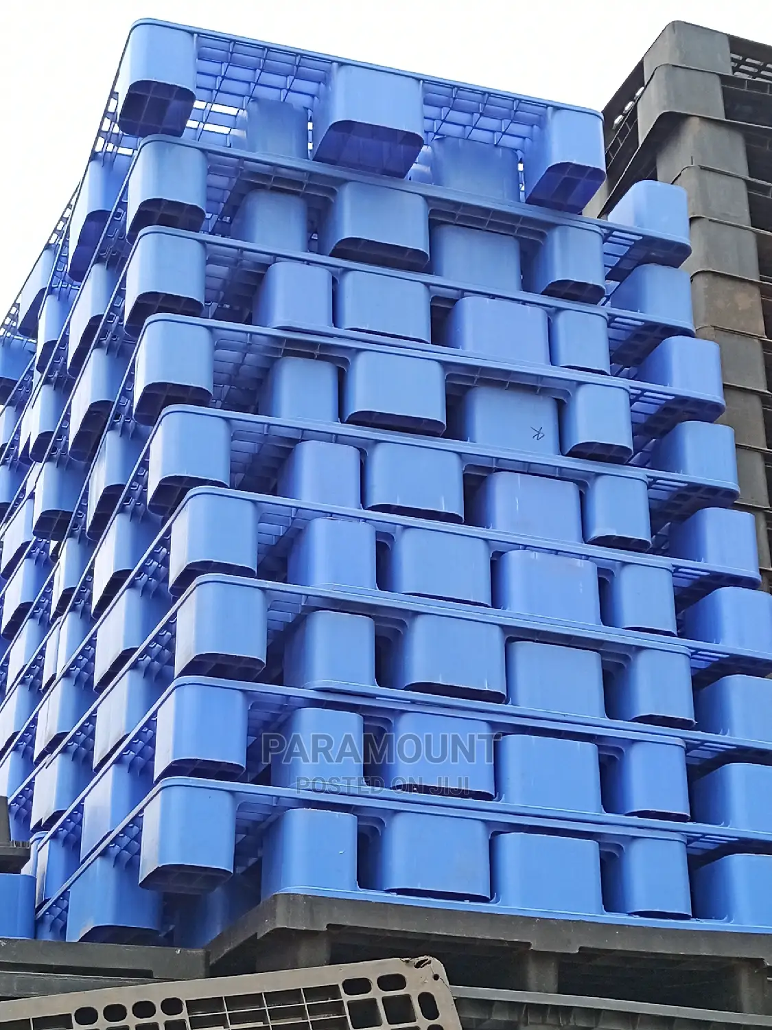 Blue Plastic Pallets