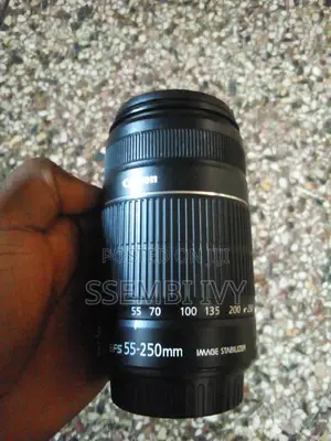 CANON 55-250mm Professional Lens.