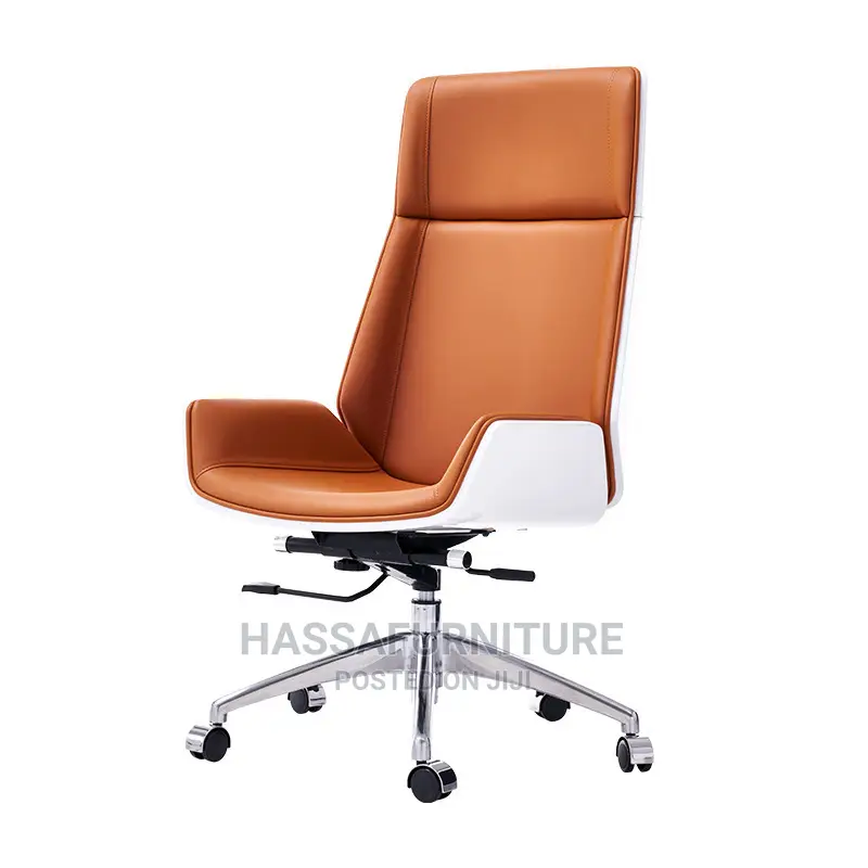 Executive Director Chair