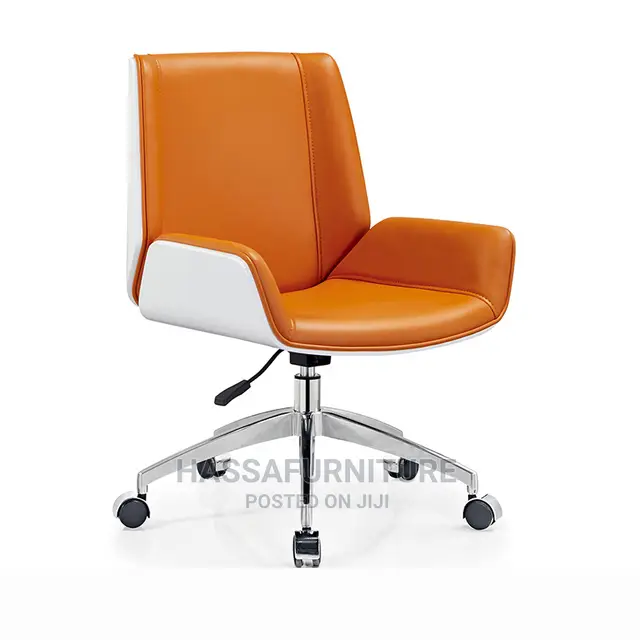 Executive Director Chair
