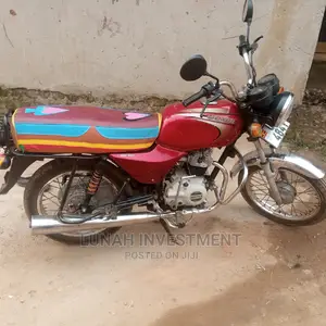 New Bajaj Pulsar 180 2021 Gray