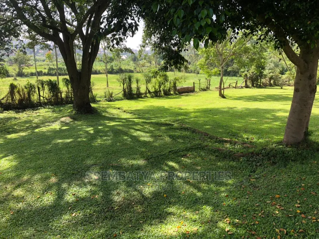 Land , Plots and Acres for Sale