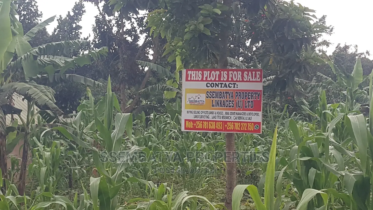 Land , Plots and Acres for Sale