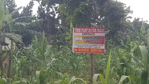 Land , Plots and Acres for Sale