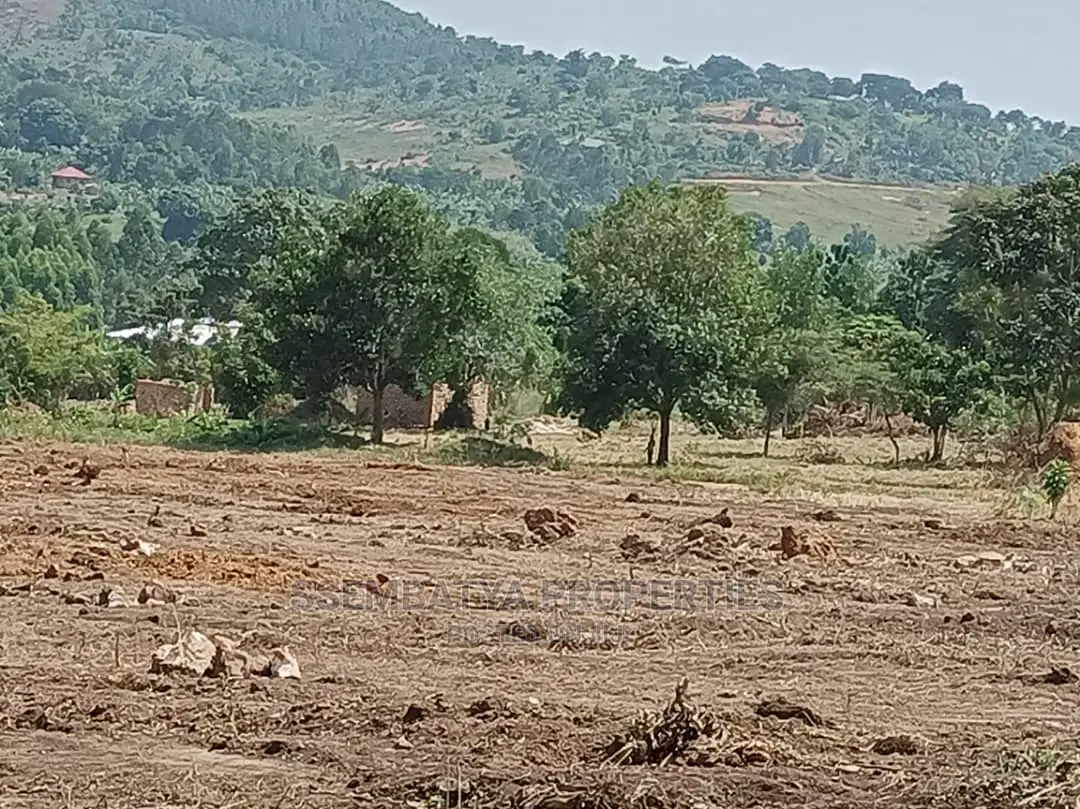 Land , Plots and Acres for Sale