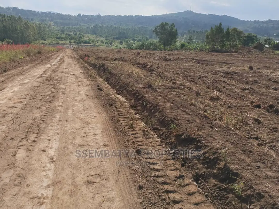 Land , Plots and Acres for Sale