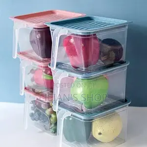 Fridge Container