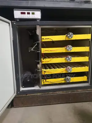 Ac/Dc 300 Egg Incubators