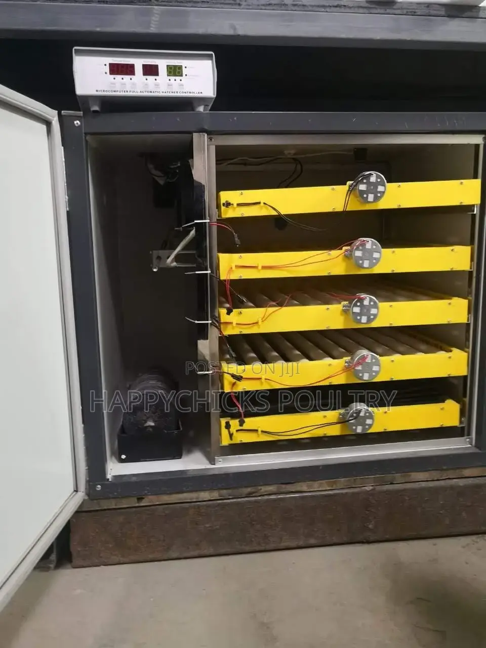 Ac/Dc 300 Egg Incubators